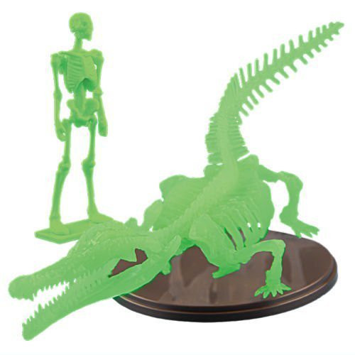 1A684『現貨』博物模型俱樂部 參-豐玉姬鱷篇 SO-TA 扭蛋 轉蛋 