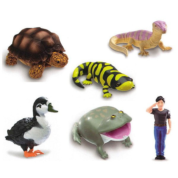 1A229『現貨』Channel Wani與爬蟲生物模型 YELL 扭蛋 轉蛋 