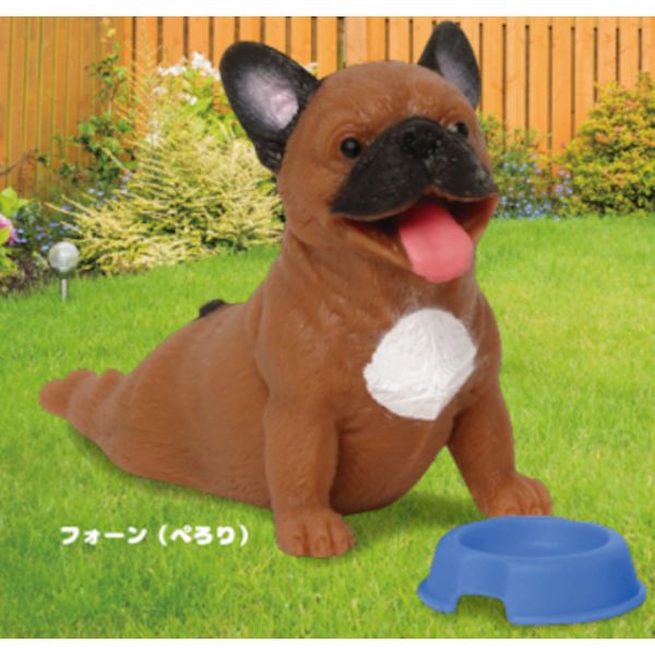 4A198『現貨』捏捏巨大法國鬥牛犬 KOROKORO 扭蛋 轉蛋 