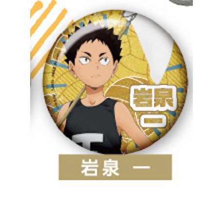 4A101『現貨』排球少年回憶徽章 T-ARTS 扭蛋 轉蛋 