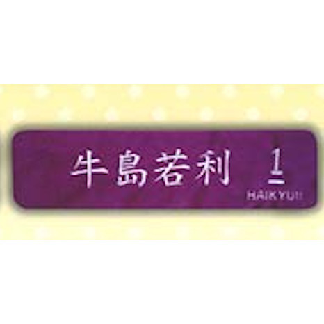 4A118『現貨』排球少年角色名字髮帶 Kcompany 扭蛋 轉蛋 