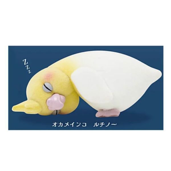 2A781『現貨』睡著了鸚鵡公仔 Qualia 扭蛋 轉蛋 