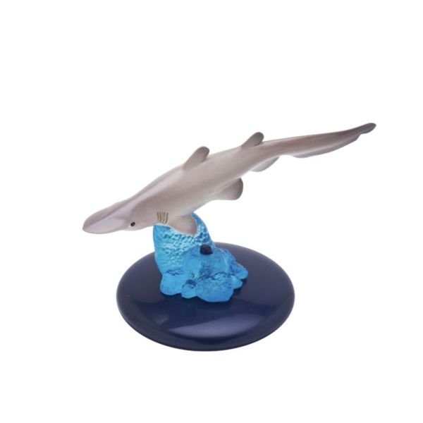 egb429『現貨』NTC生物模型-鯊魚篇 扭蛋 轉蛋 