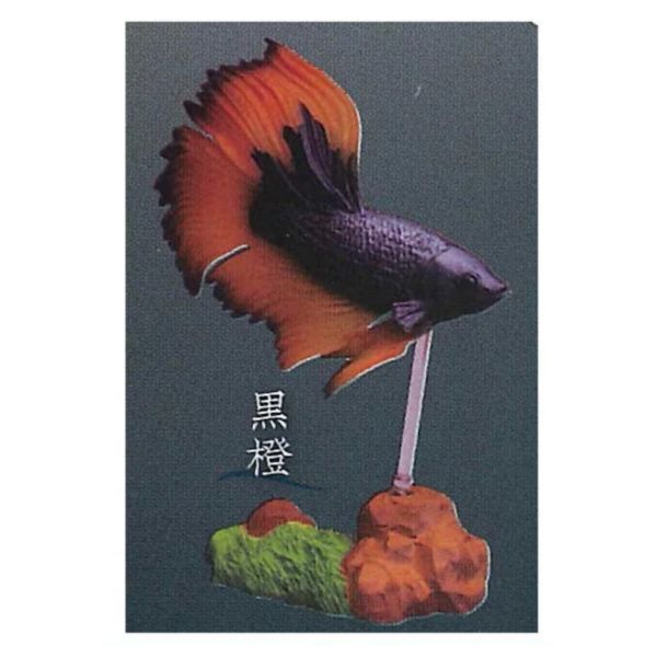 3A005『現貨』鬥魚~Betta~貳 Standstones 扭蛋 轉蛋 