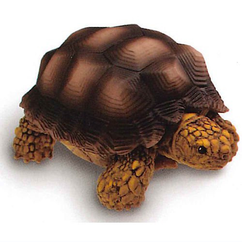 1A229『現貨』Channel Wani與爬蟲生物模型 YELL 扭蛋 轉蛋 