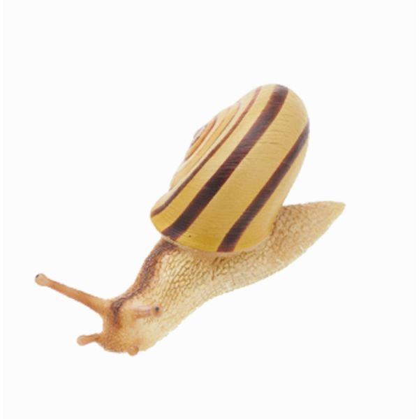 4A520『現貨』NOJ-日本的生物P3 IKIMON 扭蛋 轉蛋 