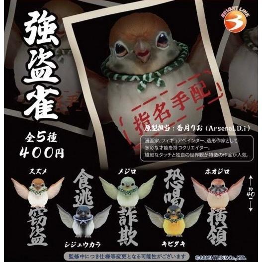 5A196『現貨』強盜雀   Bright link  扭蛋   轉蛋 