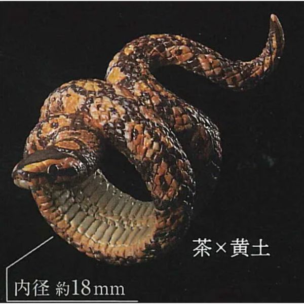 2A111『現貨』蛇輪 Standstones 扭蛋 轉蛋 