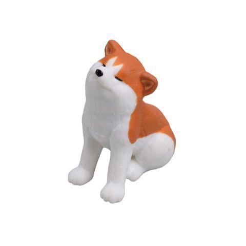 5A224『現貨』秋田犬公仔P3   Tarlin  扭蛋   轉蛋 