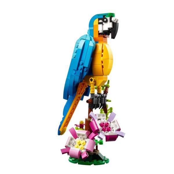 『現貨』LEGO 31136 Creator-異國鸚鵡 盒組 