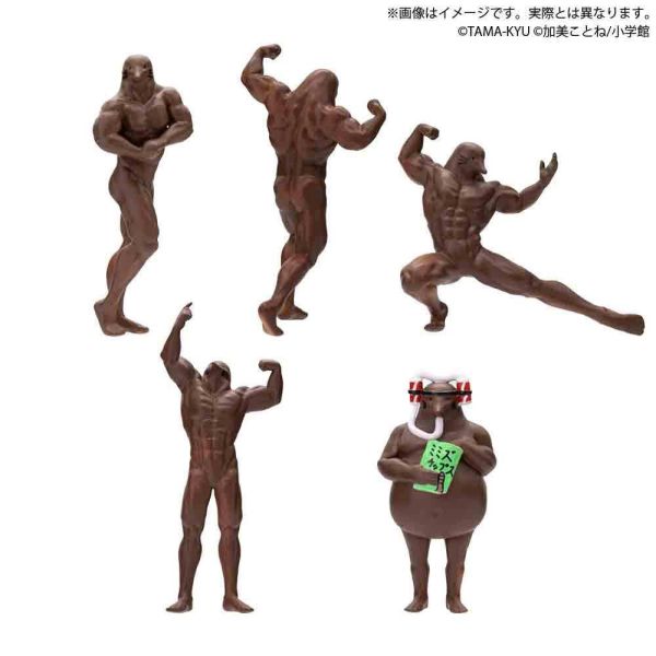 1A989『現貨』TAMA-KYU 鼴鼠-土中的真實- BUSHIROAD 扭蛋 轉蛋 