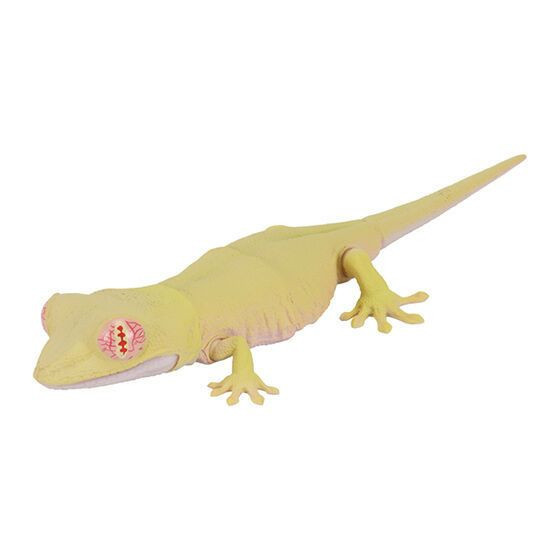 2A933『現貨』生物大圖鑑-多疣壁虎與鬃獅蜥 BANDAI 扭蛋 轉蛋 
