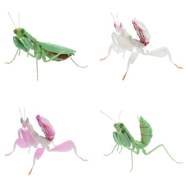 egb747『現貨』螳螂環保扭蛋03 扭蛋 轉蛋 