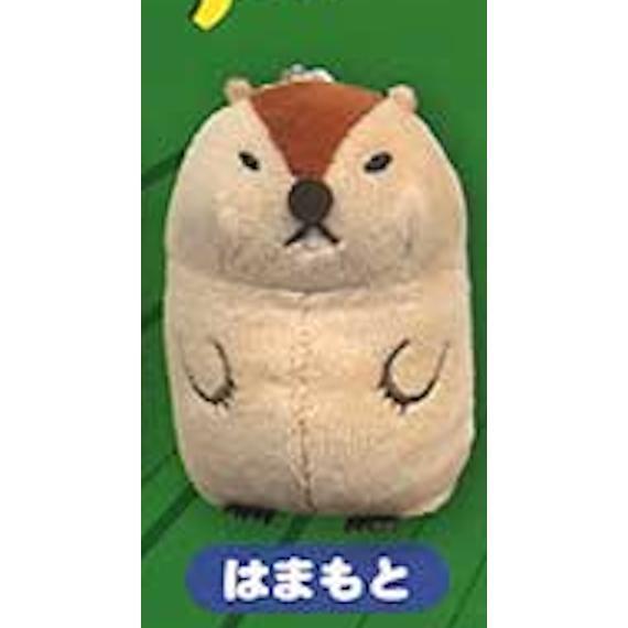 5A421『現貨』捏捏發聲土撥鼠MOTTOTO  AMUSE 扭蛋   轉蛋 