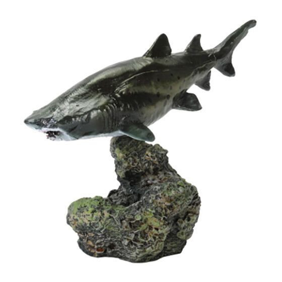 3A363『現貨』生物大圖鑑-鯊魚篇P2 BANDAI 扭蛋 轉蛋 