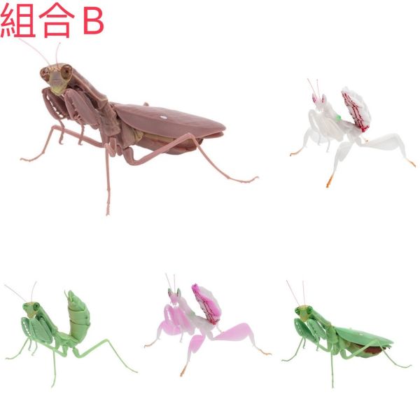 egb747『現貨』螳螂環保扭蛋03 扭蛋 轉蛋 