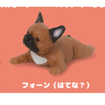 4A198『現貨』捏捏巨大法國鬥牛犬 KOROKORO 扭蛋 轉蛋 