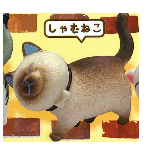 2A496『現貨』不要看喵 Bright link 扭蛋 轉蛋 