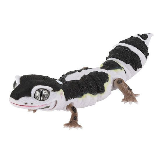 4A306『現貨』生物大圖鑑爬蟲類精 BANDAI 扭蛋 轉蛋 