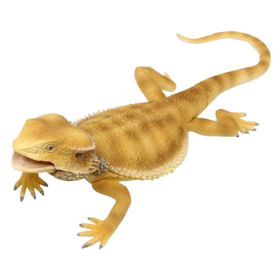 5A174『現貨』可動生物模型-蜥蜴王國 傘蜥蜴來了   T-ARTS  扭蛋   轉蛋 