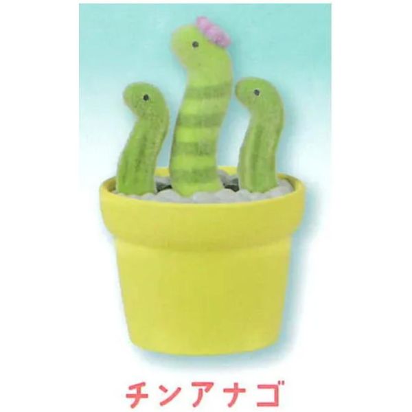 5A732『現貨』植絨仙人掌動物園  YELL  扭蛋   轉蛋 