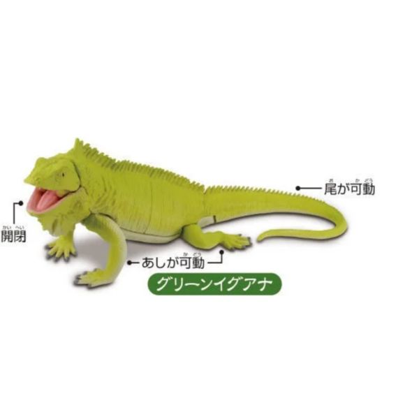 3A371『現貨』可動生物模型-巨大蜥蜴篇 T-ARTS 扭蛋 轉蛋 