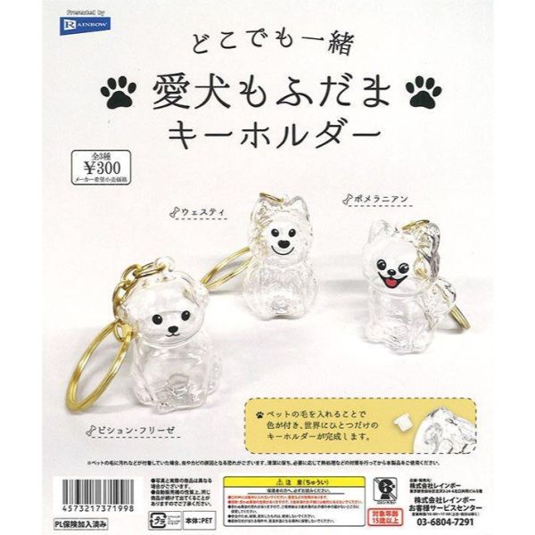 5A451『現貨』愛犬透明吊飾   RAINBOW   扭蛋   轉蛋 