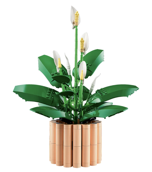 『現貨』LEGO 11504 Botanicals 白鶴芋 盒組 