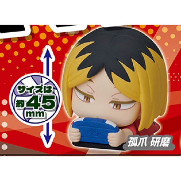 2A703『現貨』排球少年睡眠公仔 Standstones 扭蛋 轉蛋 