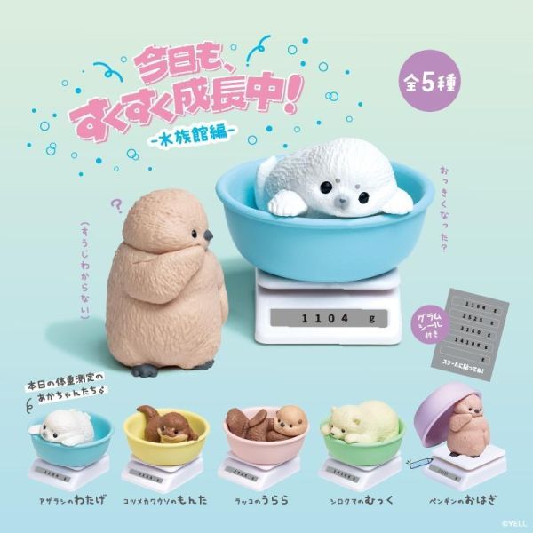 6A058『現貨』今日也茁壯成長中-水族館篇  YELL  扭蛋   轉蛋 