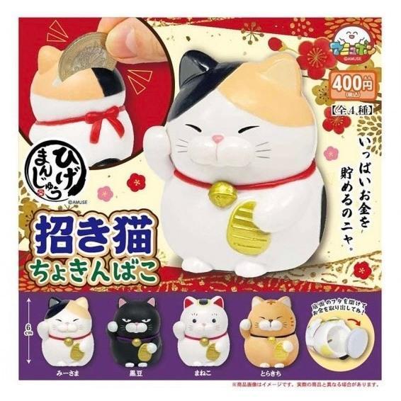 5A971『現貨』鬍鬚饅頭貓招財存錢筒  AMUSE 扭蛋   轉蛋 