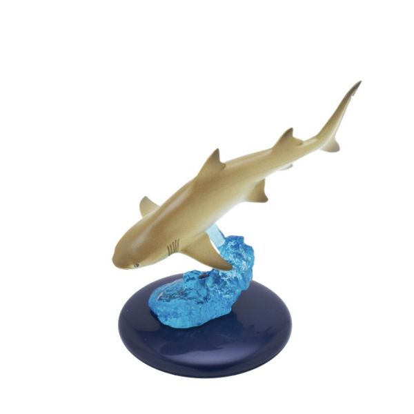 egb429『現貨』NTC生物模型-鯊魚篇 扭蛋 轉蛋 