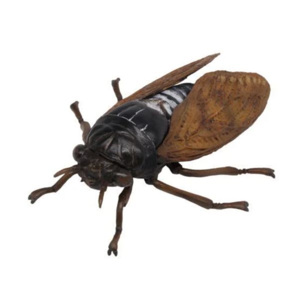 2A623『現貨』可動生物模型-昆蟲之森 怪音波之謎 T-ARTS 扭蛋 轉蛋 