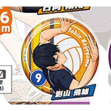 5A287『現貨』排球少年角色閃亮徽章-sideA  Standstones  扭蛋   轉蛋 