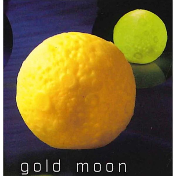 1A767『現貨』EFFECT月光小夜燈 YELL 扭蛋 轉蛋 