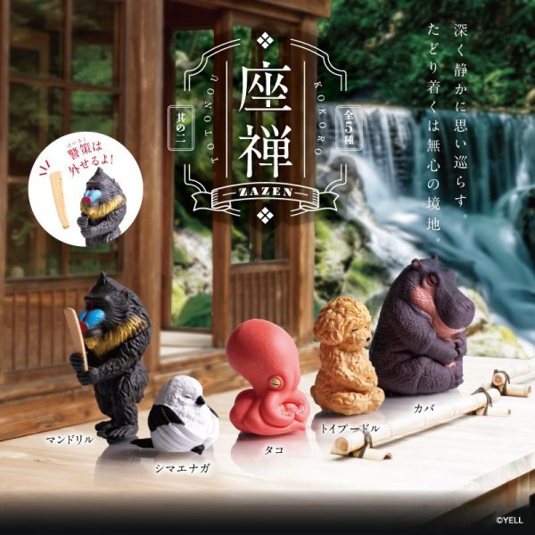 3A931『現貨』座禪P2 YELL 扭蛋 轉蛋 