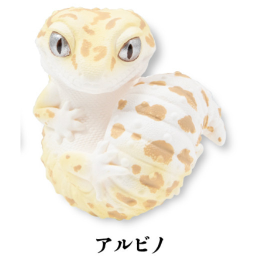 3A919『現貨』真工房可愛角色系列 豹紋壁虎吊飾 Qualia 扭蛋 轉蛋 