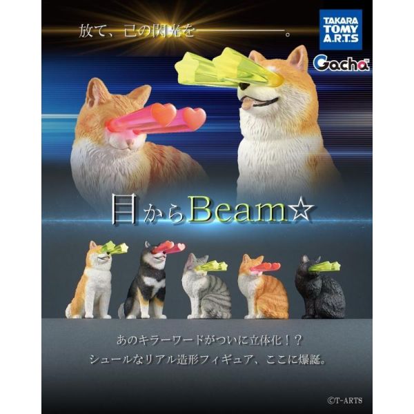 5A444『現貨』眼睛射線動物   T-ARTS  扭蛋   轉蛋 