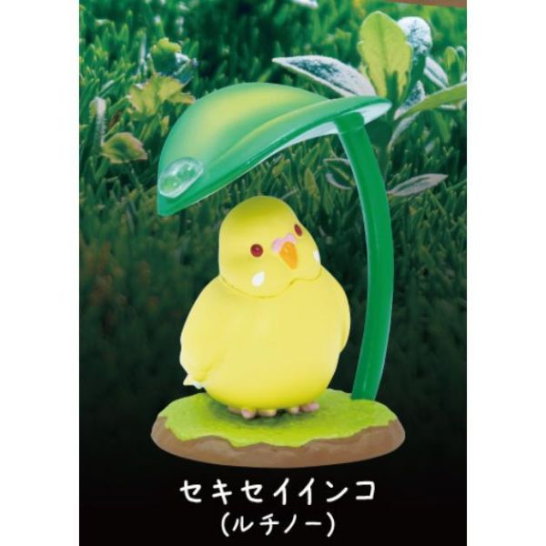 6A394『現貨』躲雨動物P2  Qualia  扭蛋   轉蛋 