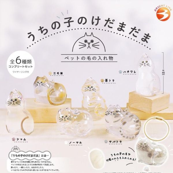 4A364『現貨』我家毛孩透明吊飾 Bright Link 扭蛋 轉蛋 