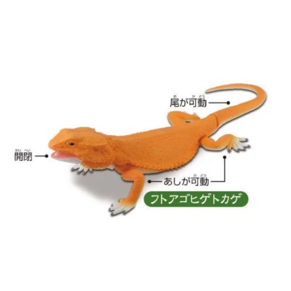3A371『現貨』可動生物模型-巨大蜥蜴篇 T-ARTS 扭蛋 轉蛋 