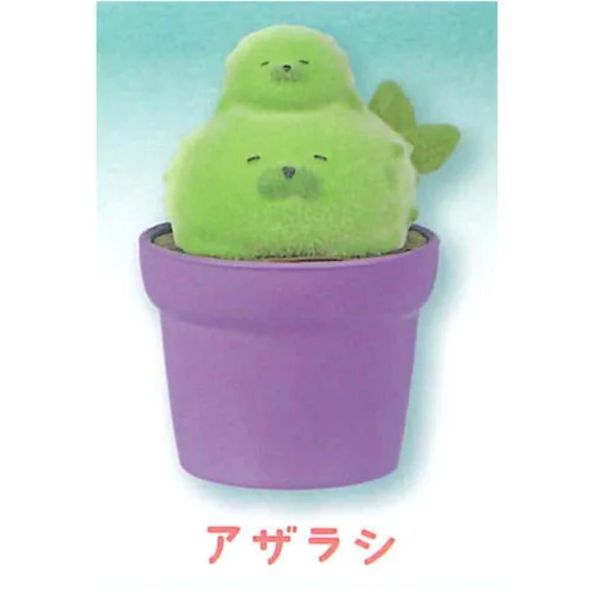 5A732『現貨』植絨仙人掌動物園  YELL  扭蛋   轉蛋 