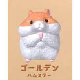 5A730『現貨』多蝦哩倉鼠  YELL  扭蛋   轉蛋 