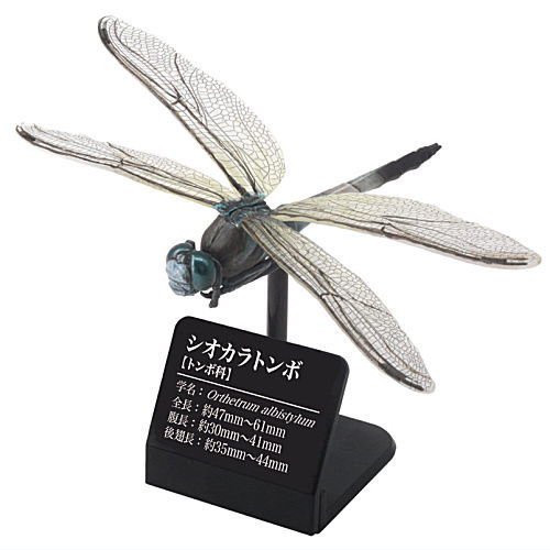 1A54『現貨』原色圖鑑系列-日本蜻蜓 扭蛋 轉蛋 