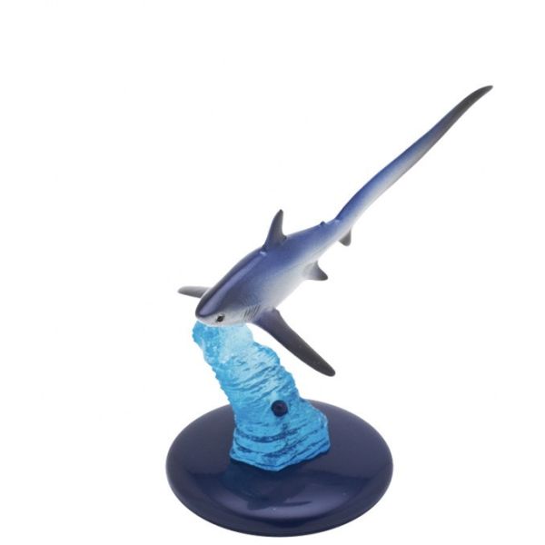 egb429『現貨』NTC生物模型-鯊魚篇 扭蛋 轉蛋 