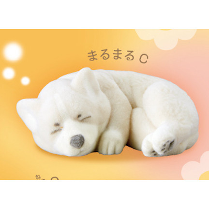 3A543『現貨』植絨柯基公仔 T-ARTS 扭蛋 轉蛋 