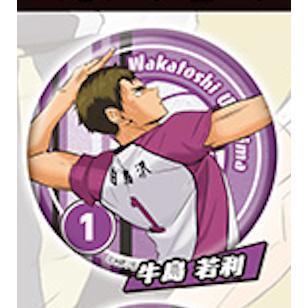 5A287『現貨』排球少年角色閃亮徽章-sideA  Standstones  扭蛋   轉蛋 