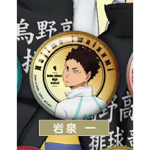 3A834『現貨』排球少年閃亮回頭徽章 T-ARTS 扭蛋 轉蛋 