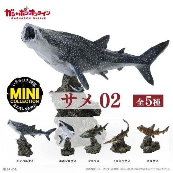 3A363『現貨』生物大圖鑑-鯊魚篇P2 BANDAI 扭蛋 轉蛋 