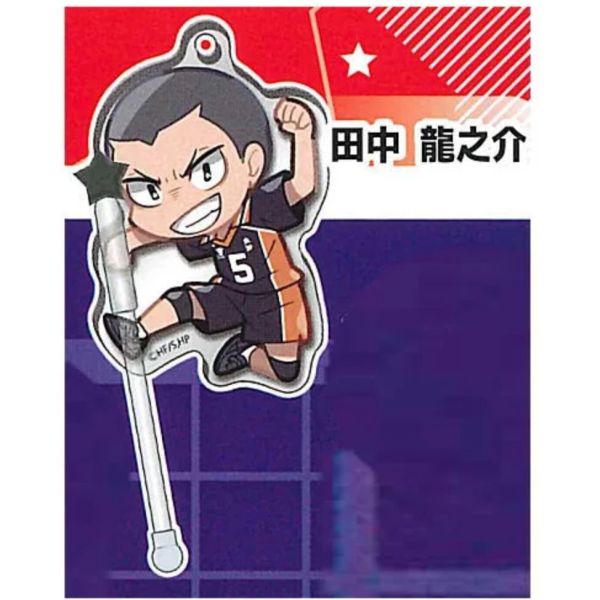 3A457『現貨』DECORA-PIC排球少年裝飾壓克力P2 Standstones 扭蛋 轉蛋 